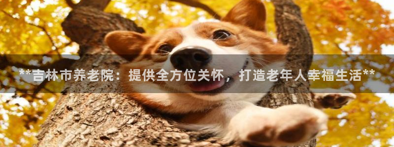 韦德新品