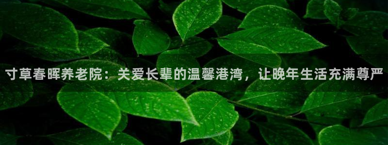 韦德的游戏