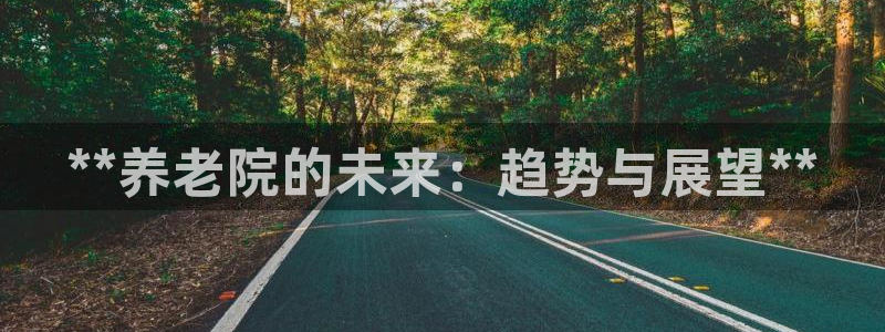韦德的游戏