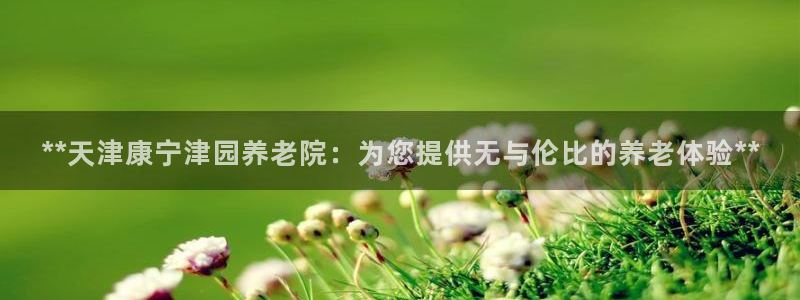韦德1946bv1946