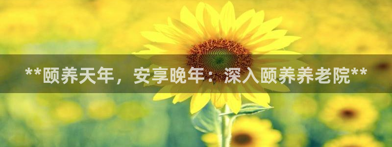 韦德官方网址
