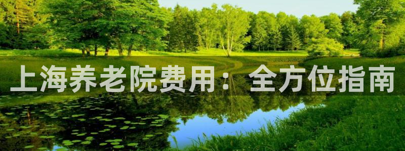 韦德 网址