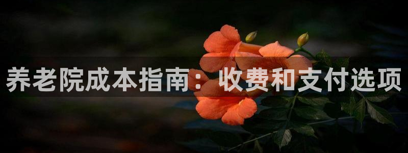 1946韦德官方网站