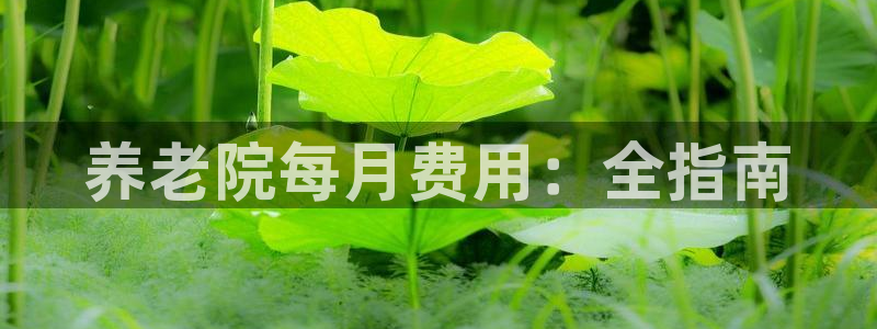韦德2014