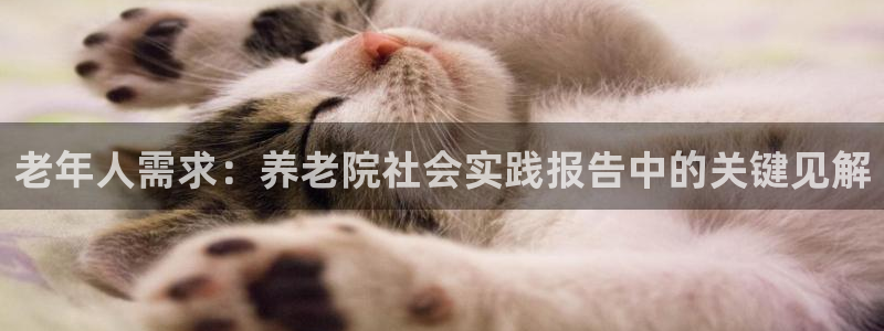 韦德网站官网