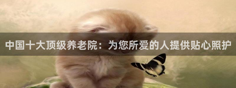 韦德的游戏