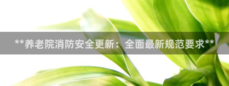 韦德1946bv1946