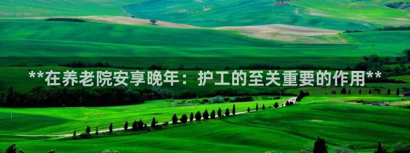 韦德1946体育