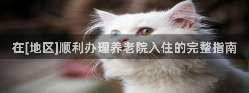 韦德新品