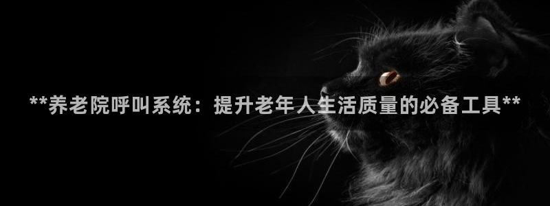 韦德观战总决赛G3