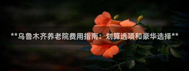 韦德的地位