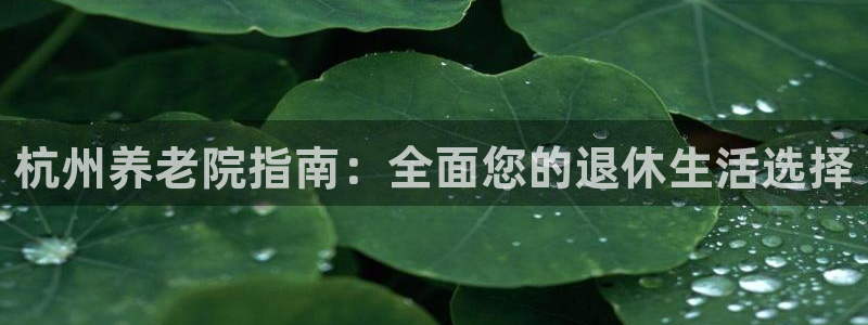 韦德新品