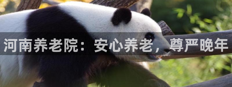韦德app官方网站