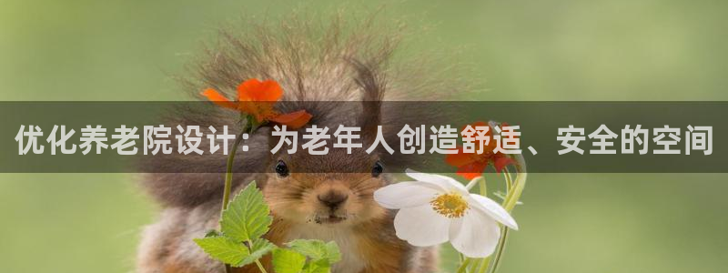 韦德新品