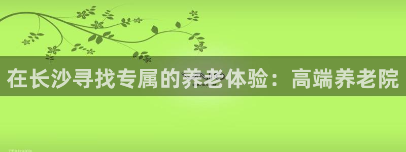 韦德游戏是什么