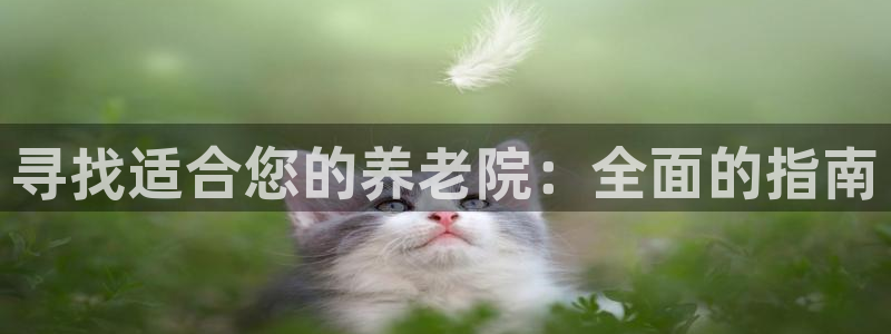 韦德1946游戏