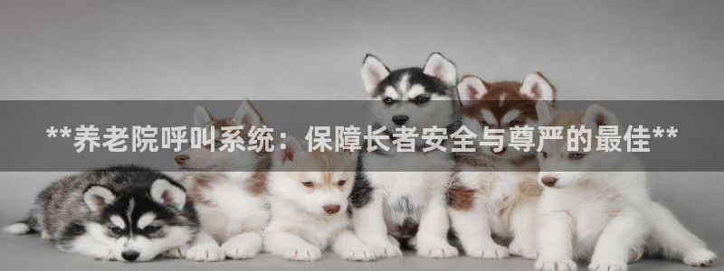 韦德全系列