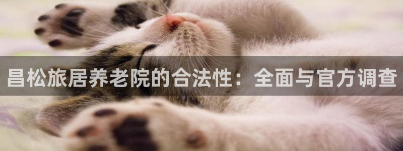 韦德网站是多少