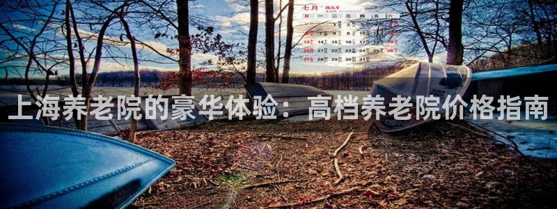 韦德1946娱乐