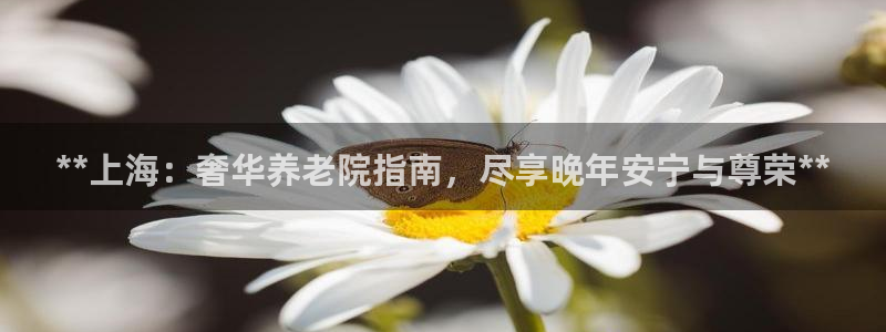 韦德合集