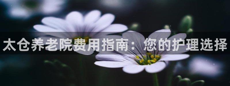 韦德 官网