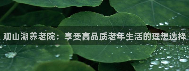 韦德1946备用网站
