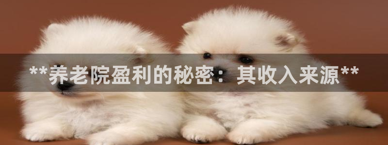 韦德新品