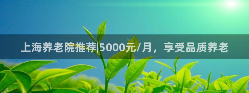 韦德属于什么