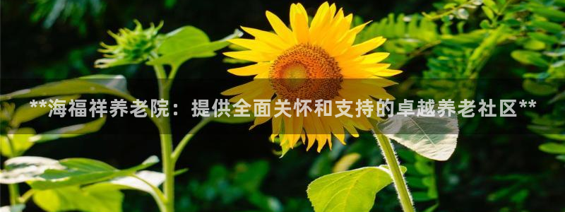 韦德1946国际娱乐