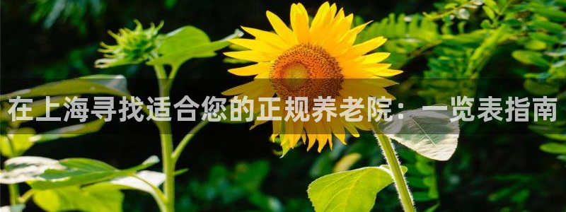 韦德国际1946官网