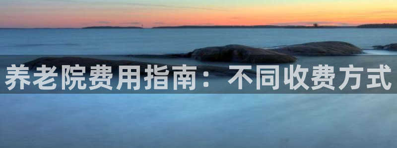 韦德游戏是什么