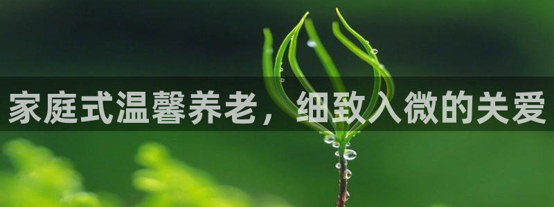 韦德1946官方