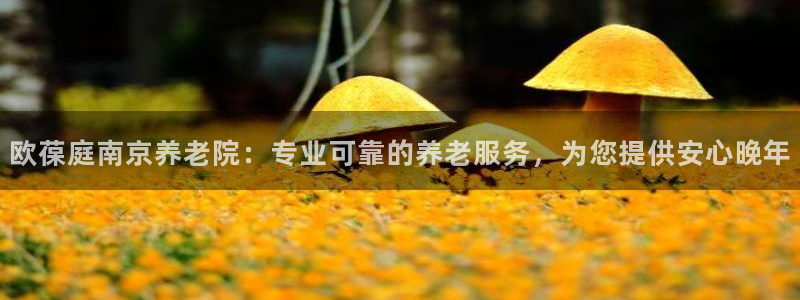 韦德1946娱乐