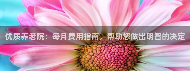 韦德是哪个