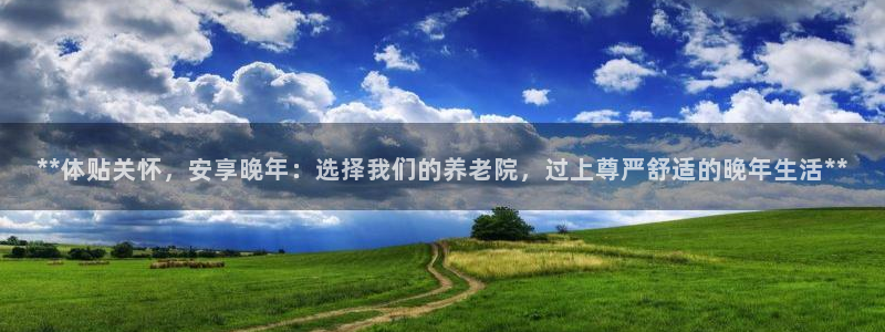 韦德网站是多少