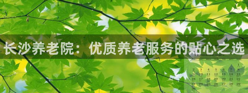 韦德游戏是什么