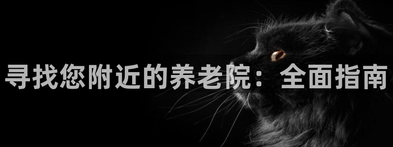 韦德网站是多少