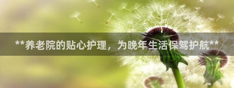 1946韦德找回密码