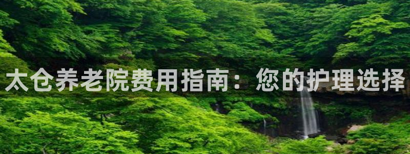 韦德的游戏