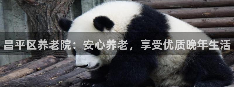 韦德是哪个