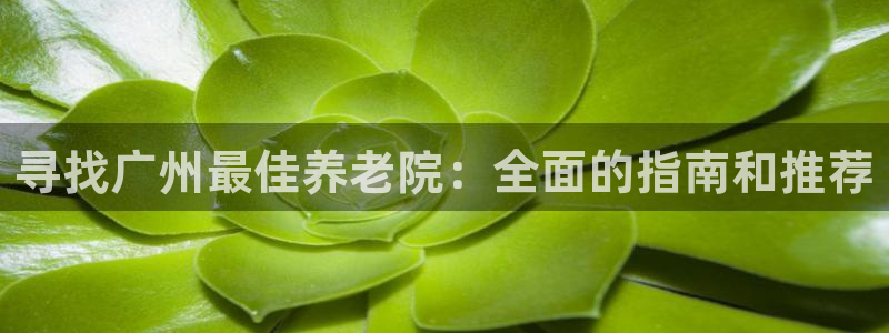 1946韦德游戏