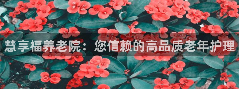 韦德1946官方网站