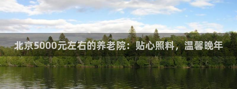 韦德是哪个