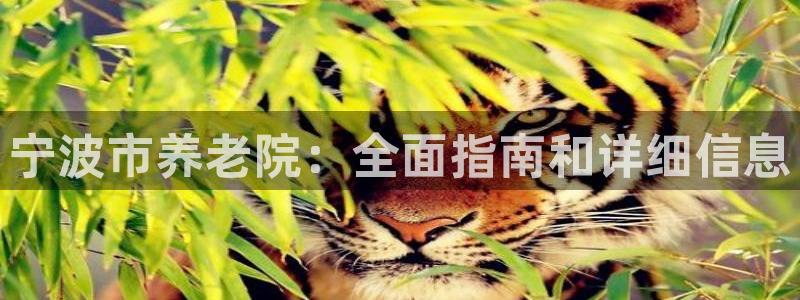 韦德观战总决赛G3