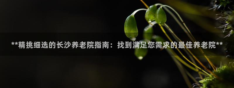 1946韦德官方网站