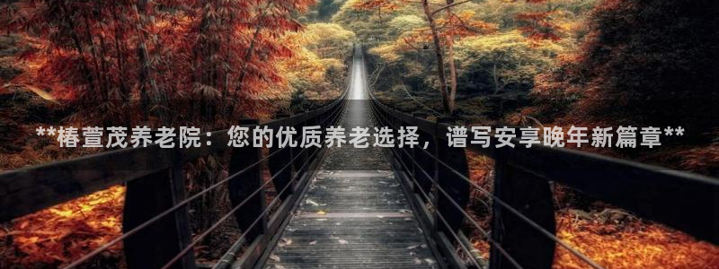 韦德1946
