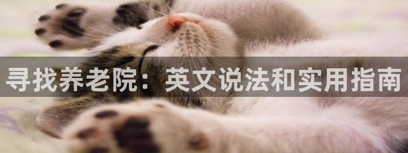1946韦德网站
