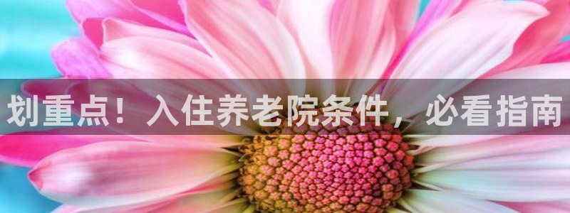 韦德 网站