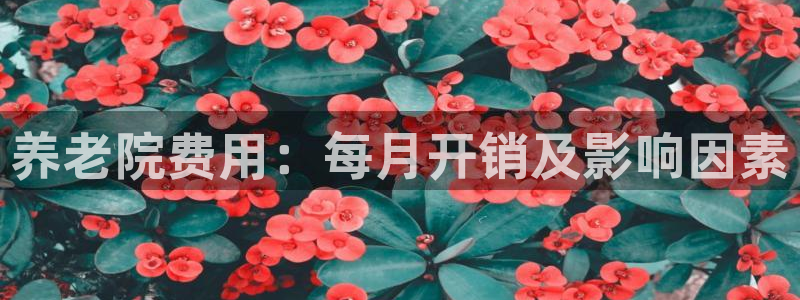 韦德1946手机版