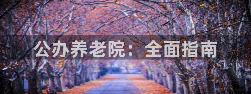 韦德app官方网站